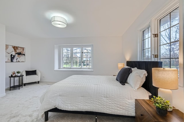 carpeted bedroom with multiple windows