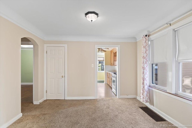 carpeted empty room with ceiling fan and ornamental molding