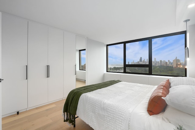 bedroom with light hardwood / wood-style flooring