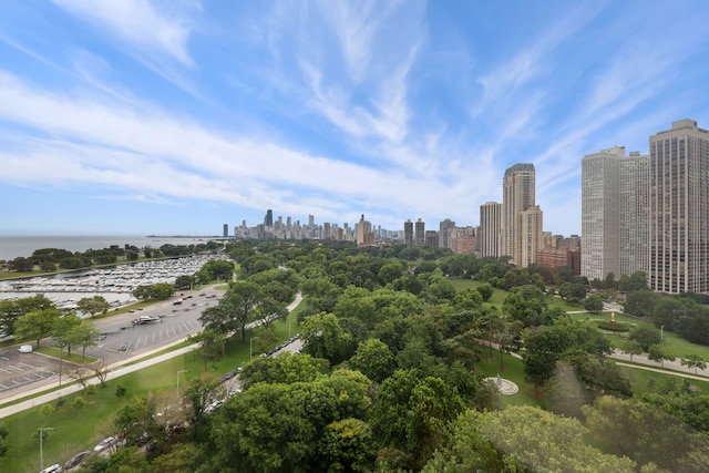 birds eye view of property with a water view