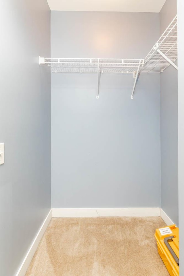 spacious closet with carpet flooring