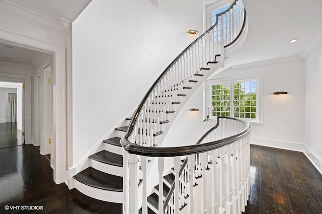 stairway featuring crown molding and hardwood / wood-style flooring