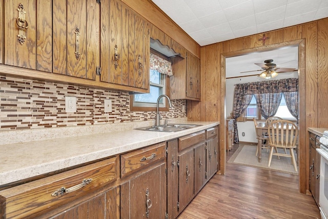 kitchen featuring sink, backsplash, a healthy amount of sunlight, and range