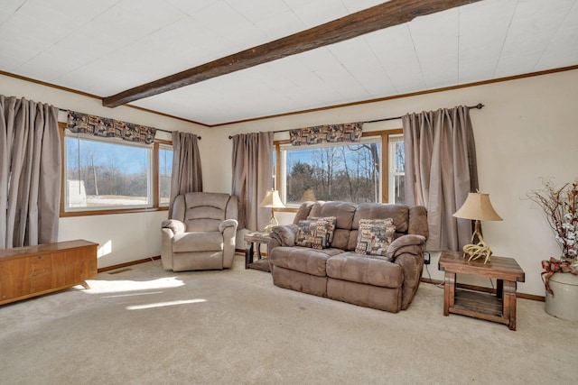 living room featuring crown molding, beamed ceiling, a healthy amount of sunlight, and carpet