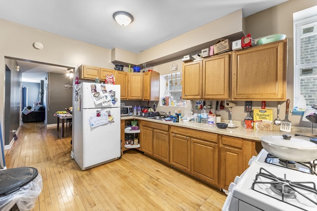 kitchen featuring white appliances, light hardwood / wood-style flooring, and sink