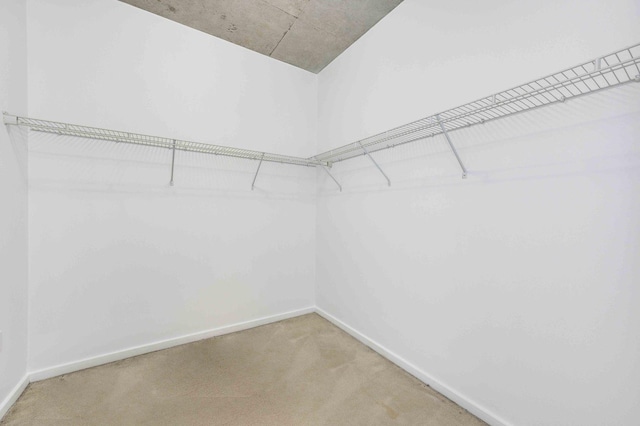 spacious closet featuring carpet