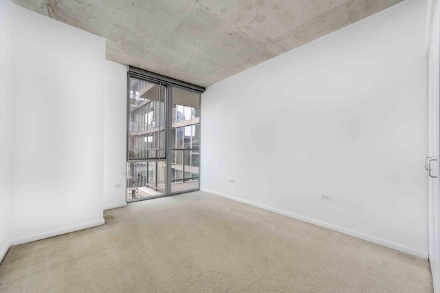 empty room featuring carpet, expansive windows, and baseboards