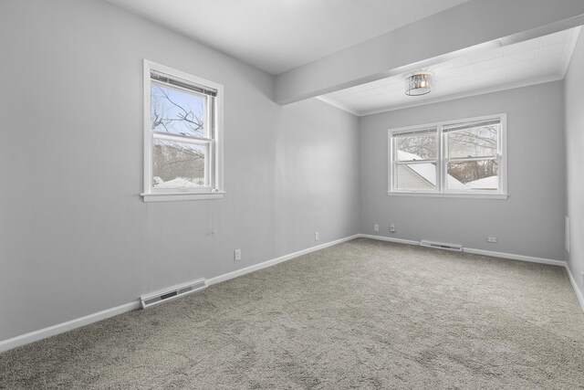 empty room featuring crown molding and carpet floors