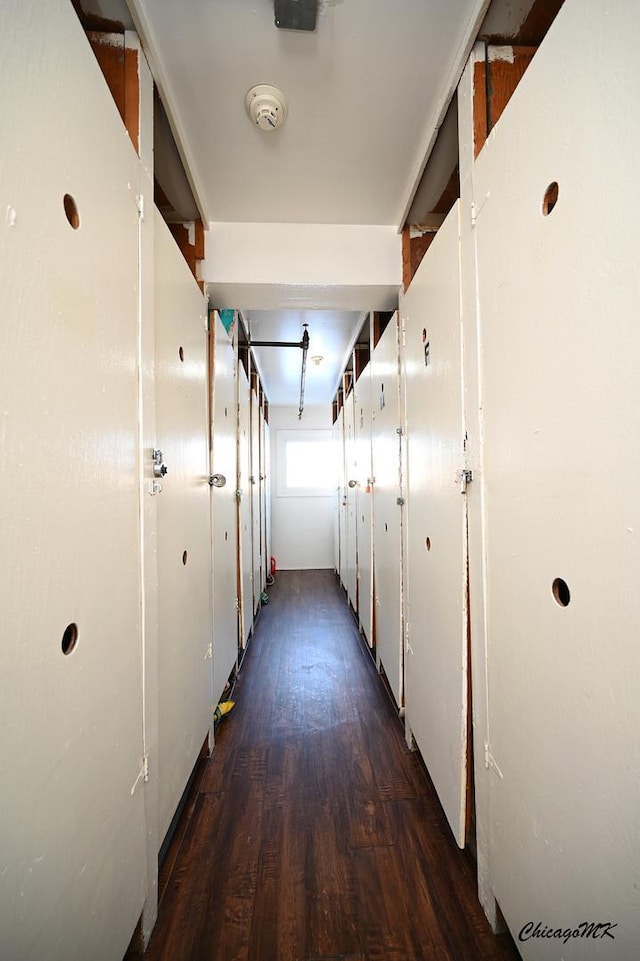 corridor with dark wood-type flooring