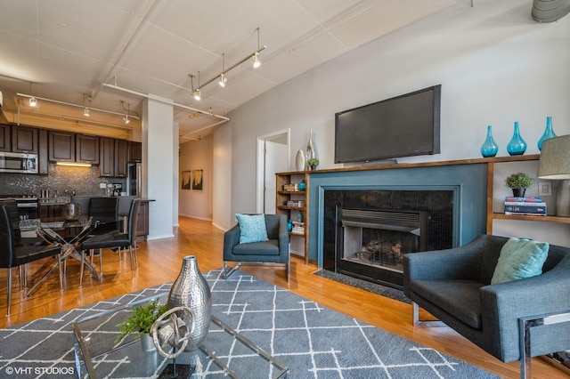 living room with a high end fireplace, light wood-type flooring, and rail lighting