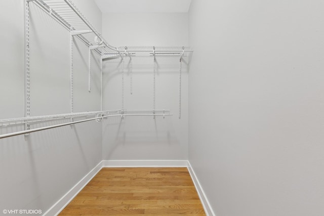 walk in closet with hardwood / wood-style flooring