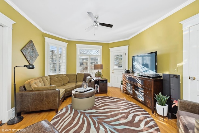 living room featuring crown molding, plenty of natural light, ceiling fan, and light wood-type flooring