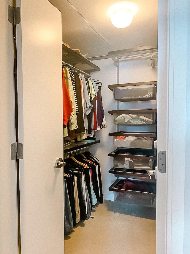 view of spacious closet