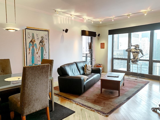 living room featuring light hardwood / wood-style floors and ornamental molding