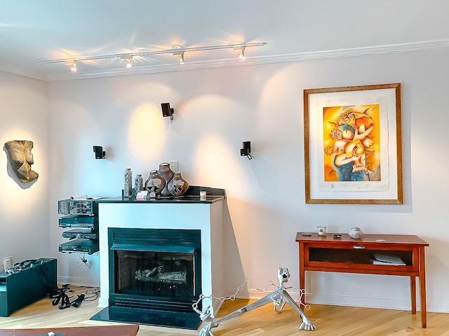 living room featuring a fireplace, track lighting, ornamental molding, and wood-type flooring