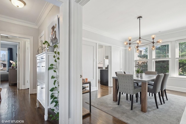 dining space with an inviting chandelier, crown molding, radiator heating unit, and dark hardwood / wood-style floors