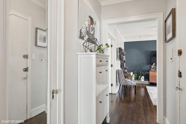 hall with dark hardwood / wood-style flooring and crown molding