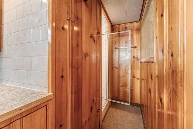 bathroom with wooden walls