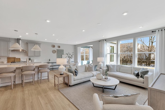 living room with light wood-type flooring and plenty of natural light