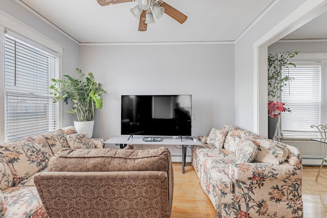 living room with light wood-type flooring, ceiling fan, and crown molding