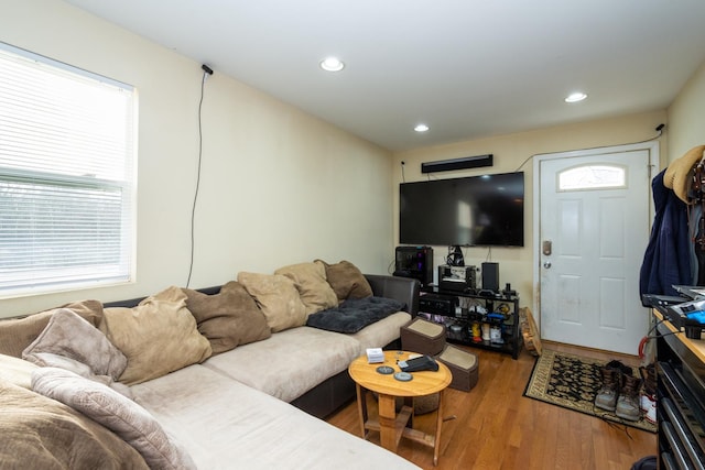 living room featuring wood-type flooring