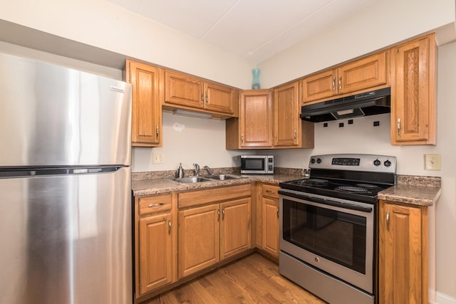 kitchen with appliances with stainless steel finishes, light hardwood / wood-style floors, and sink