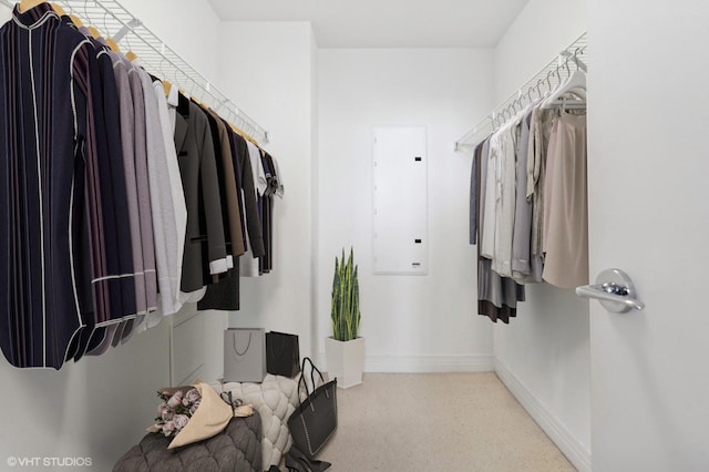 spacious closet featuring electric panel