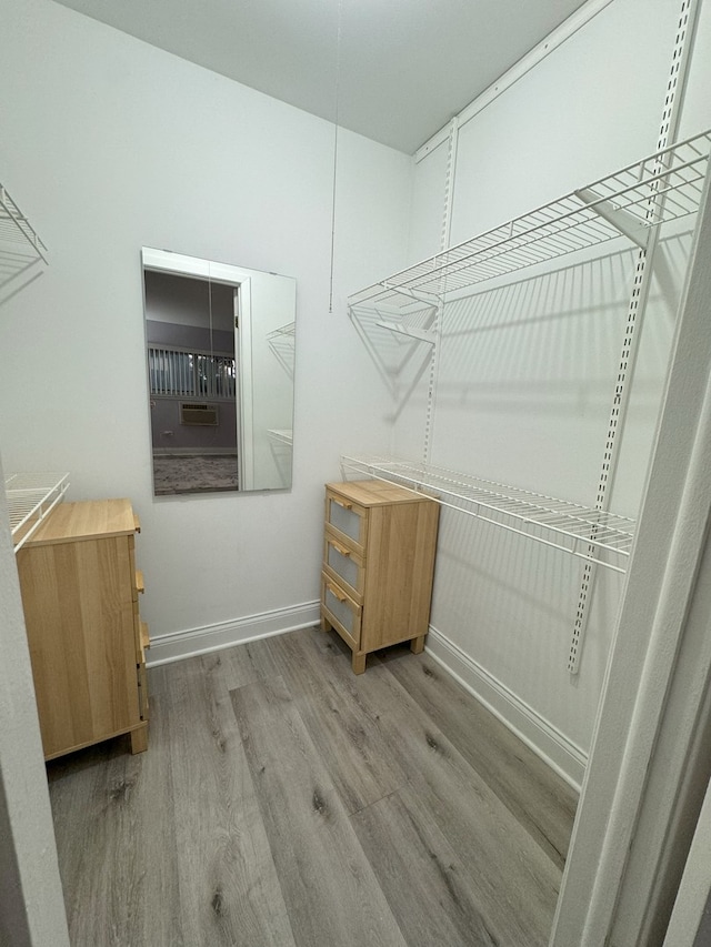 walk in closet with wood finished floors