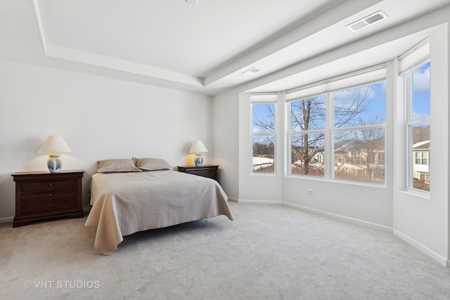 carpeted bedroom featuring a tray ceiling