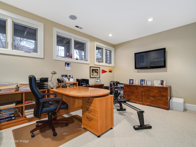 carpeted office with a healthy amount of sunlight