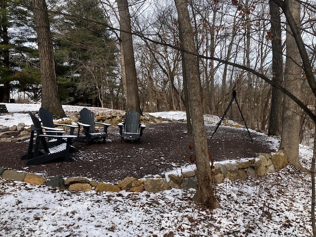 yard covered in snow with a fire pit