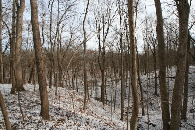 view of snowy view