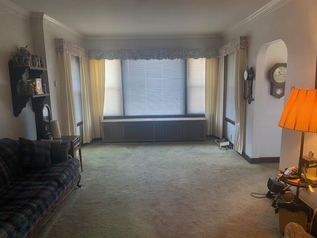 living room featuring crown molding, a healthy amount of sunlight, and carpet