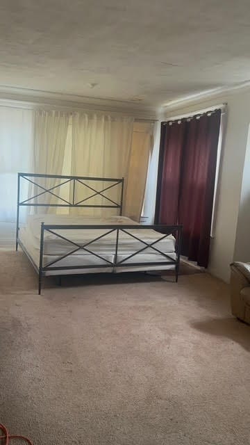 unfurnished bedroom with carpet flooring