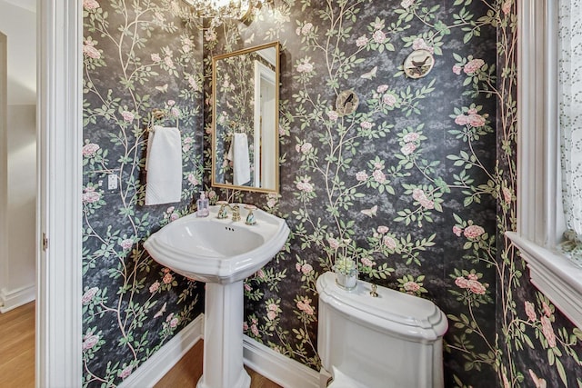 bathroom featuring wood-type flooring and toilet