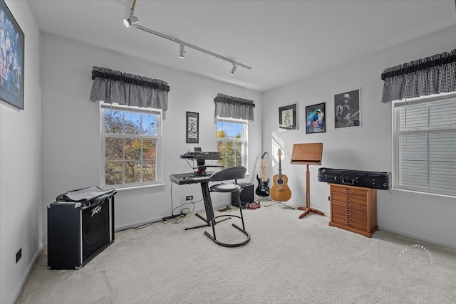 office area with rail lighting and light carpet