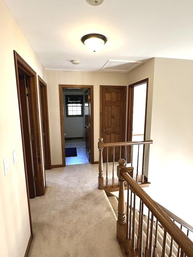 hallway featuring light carpet