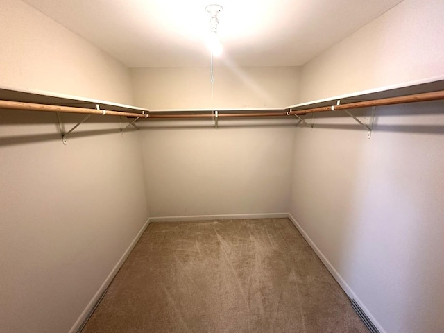 spacious closet with carpet