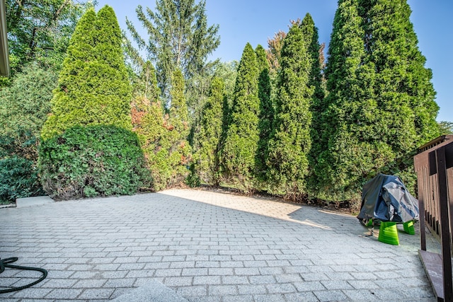 view of patio with a grill