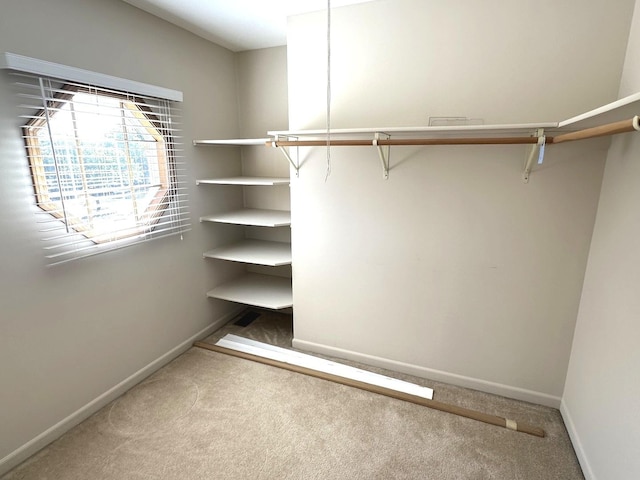 walk in closet with carpet