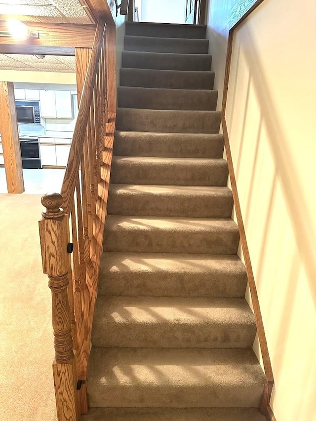 stairway featuring carpet floors