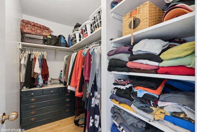 walk in closet with wood-type flooring