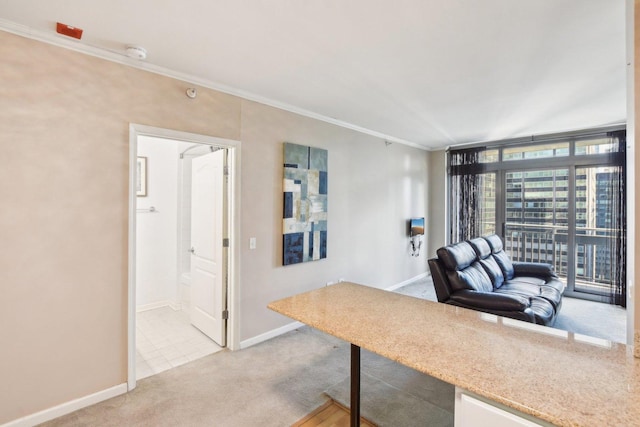 office with light colored carpet, a wall of windows, and crown molding