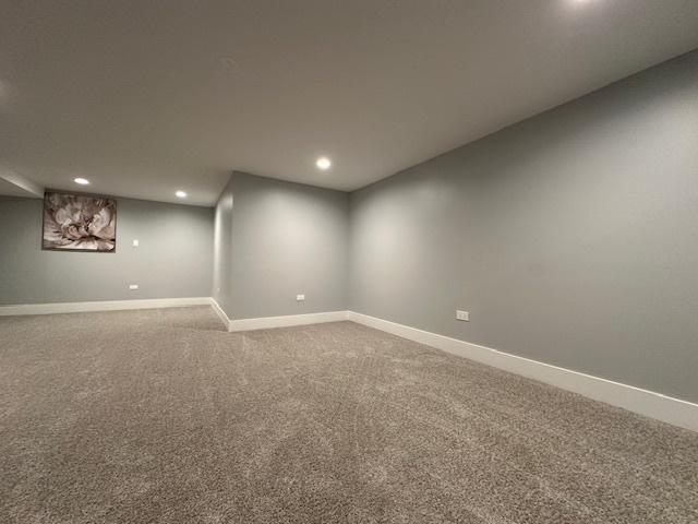 basement featuring carpet floors