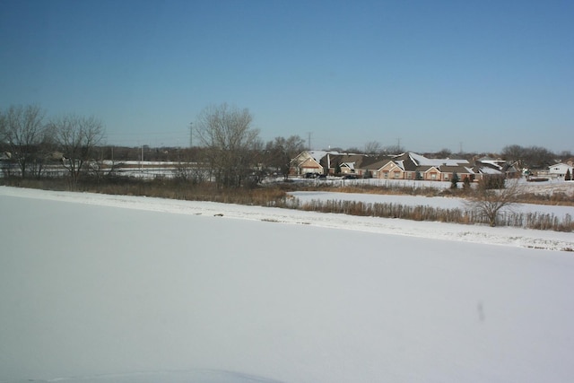 view of yard covered in snow