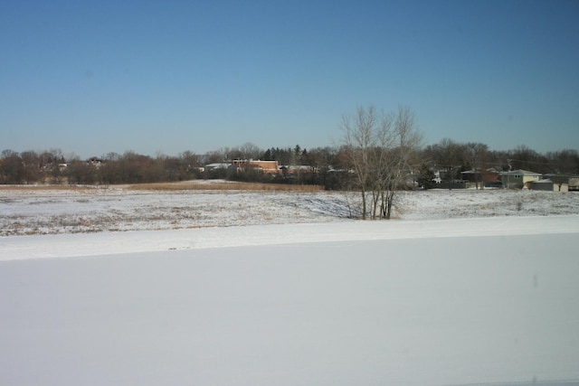 view of yard covered in snow