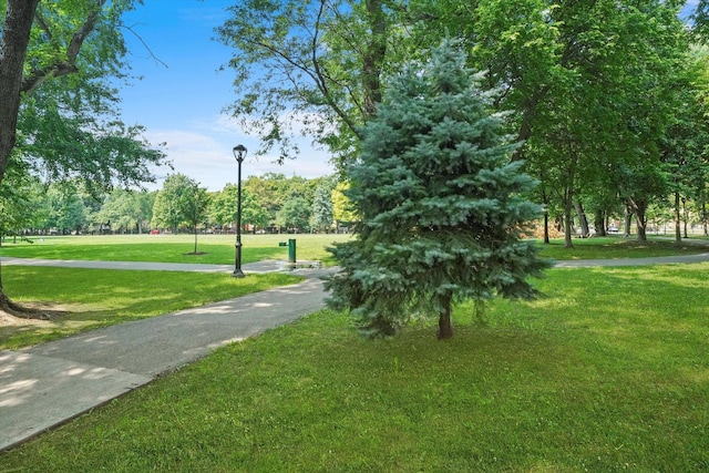 view of home's community featuring a yard