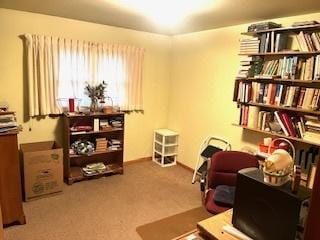 sitting room with carpet flooring