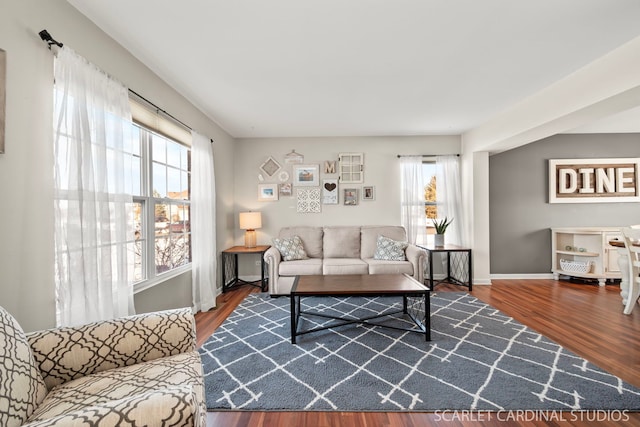 living room with hardwood / wood-style floors and a healthy amount of sunlight