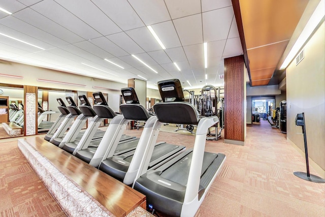 exercise room featuring a paneled ceiling and light colored carpet